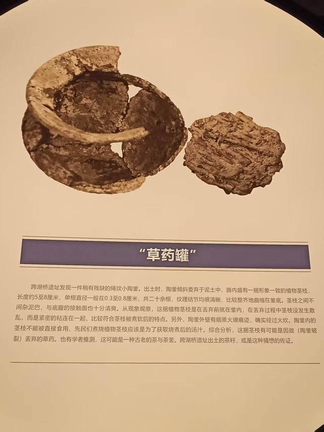 潮闻小编导 | 穿越八千年的对话：走进跨湖桥遗址，触摸江南文明的曙光