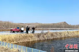 （乡村行·看振兴）赤峰林西县改良4200亩盐碱地 农民摇身变蟹民图片