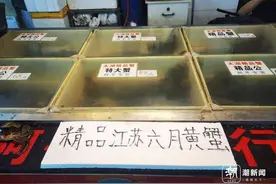 提前来了，价格比往年便宜！限定美味“六月黄”悄悄爬上餐桌图片