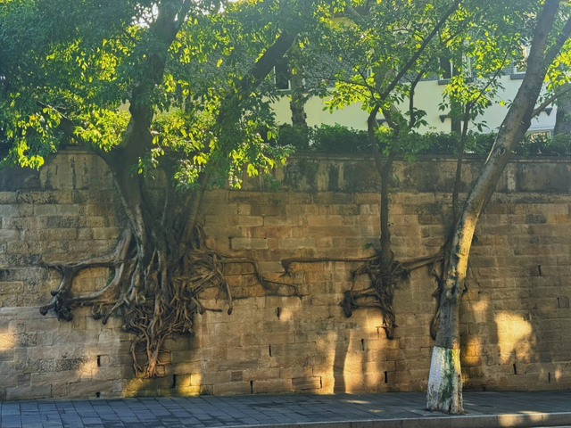 在红岩热土上锚定初心 ——踏访英雄之城重庆有感