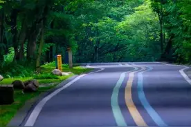 温江半马期待值up！梧桐大道变身最美生态赛道→图片