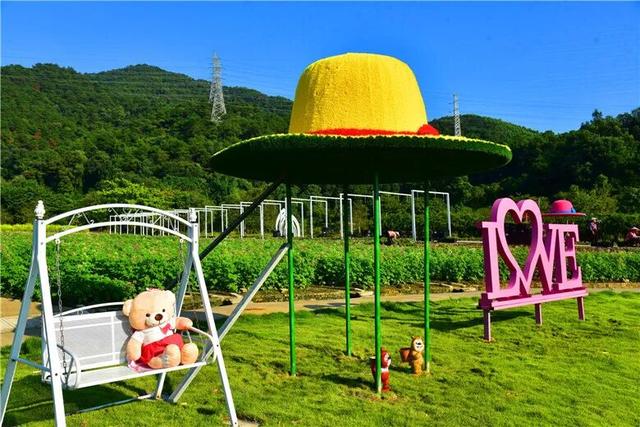 周末 ，宜回归自然！三水露营宝地推荐来了！