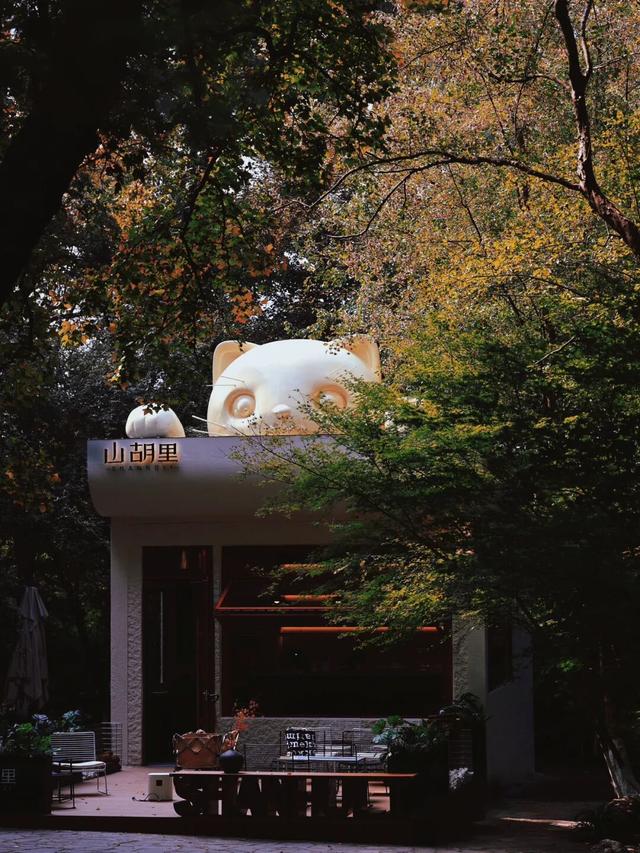 对对对！在山里喝咖啡就去那个地方！