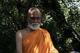 从“草根系”的迷影梦中撤离：犬儒主义者如何想象虚拟伴侣图片