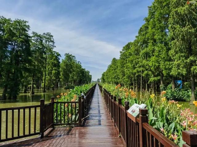 江滩会呼吸，矿山变景点，武汉生态修复术受到央媒关注