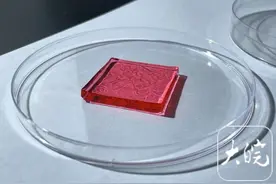 小贴片“嗅”出变质食物 这种水凝胶传感器有望走进日常生活图片