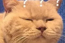 “免密支付”风险大！别担心，取消只需几个步骤图片