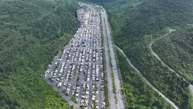 从“省花”提案到全域兴旺!百里杜鹃绘就旅游产业蓬勃发展“新图景”