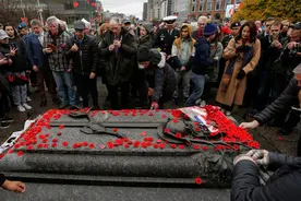 大战的回响｜虞美人花在废墟上绽放：加拿大的战争纪念图片