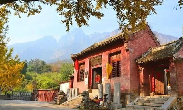 秋日必冲！新乡这两处秘境，藏着最动人的金黄时光