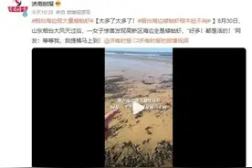 随便捡！原来这里的海鲜真是“大风”刮来的！图片
