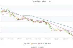 启明星辰：2024年上半年实现营收15.74亿元 保持稳步增长图片