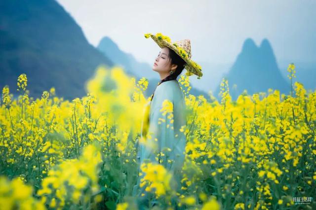 赶紧收藏！2026桂林早春赏花攻略！周末出游直接冲！