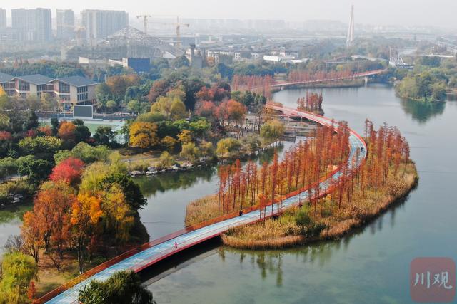 旧友回归、新客到访  四川的生态惊喜藏不住丨牢记嘱托 奋力打造两高地两基地一屏障