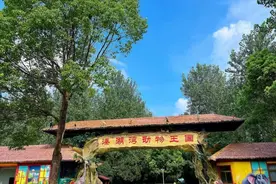 动物园“指狗为虎”，不上纲上线但也不是啥好噱头| 新京报快评图片