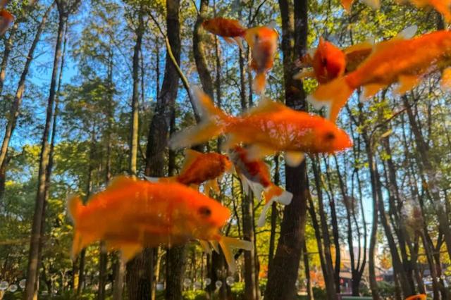 在南通，“公园+”了啥？