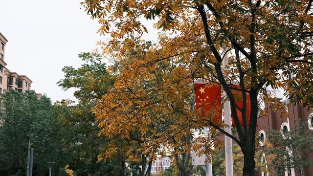 域见上海·域见奉贤｜奉浦秋日限定！这三条宝藏路线，承包所有秋日浪漫，刷爆朋友圈就靠它