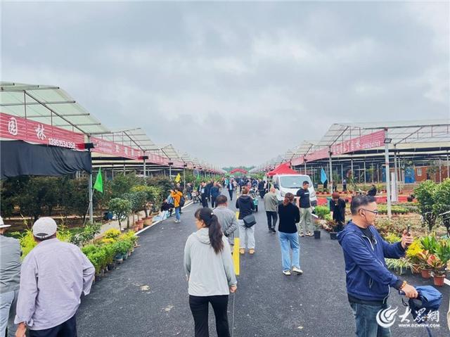 国庆中秋长假，就逛泰山国际花木城！白天嗨玩大集，夜晚风雅看展！