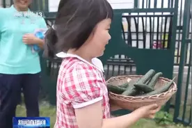 磨豆浆、喂兔子、捞龙虾 看幼儿园里的劳动实践课→图片