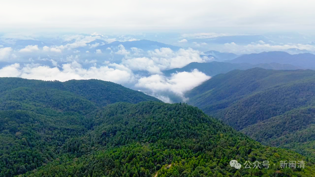 免费开放！闽清秋日生态游绝佳打卡地→