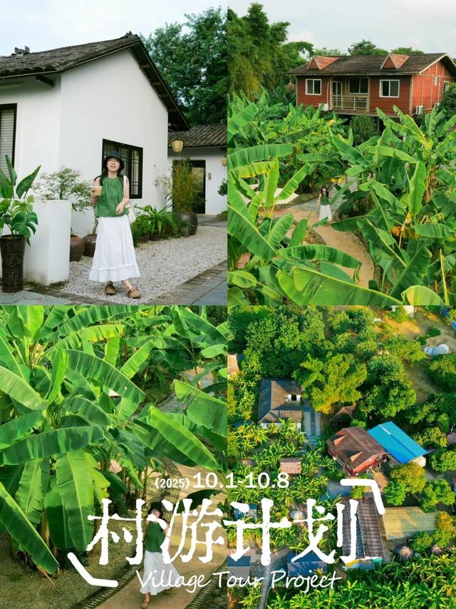 是时候回村了！来南宁共享田园慢生活，共赏万亩灯海