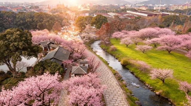 无锡梅园重要通知！