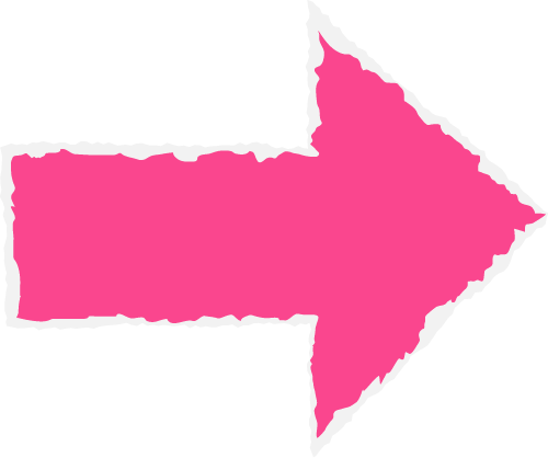 东寨港红树林研学进行时，自然课堂里的欢乐时光～