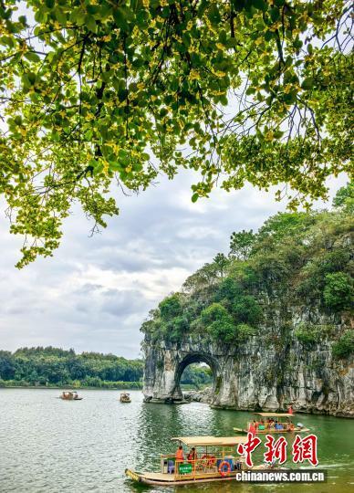 桂花香满桂林城