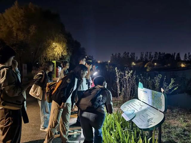 夜晚，我们在公园里“找宝藏”