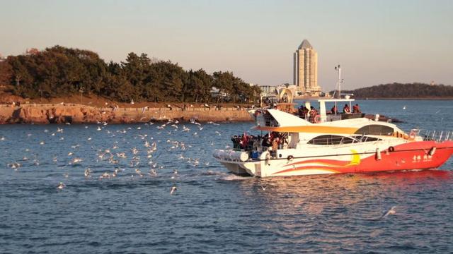 首次突破400万人！青岛坐稳海上旅游北方第一、全国前三！