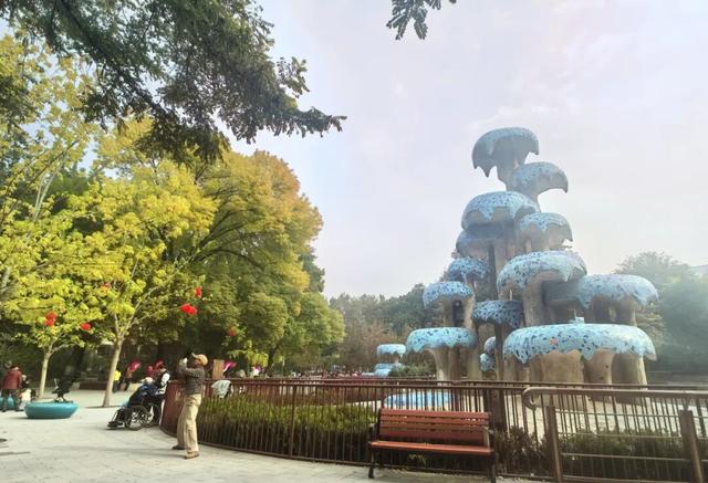 不必扎堆地坛公园！东城区赏秋攻略，一图收藏