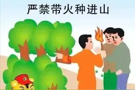【安全科普】这些森林防火知识，请牢记！图片