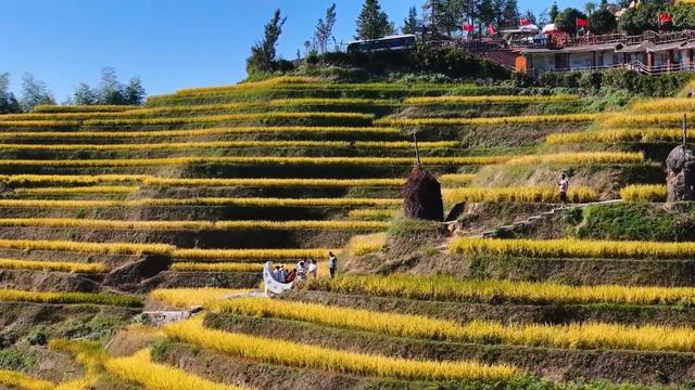 紫鹊界梯田：农耕文化助力解锁文旅新体验