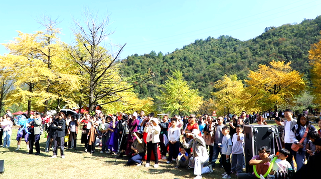 双牌：银杏黄 乡村火 “风景”变“产业”