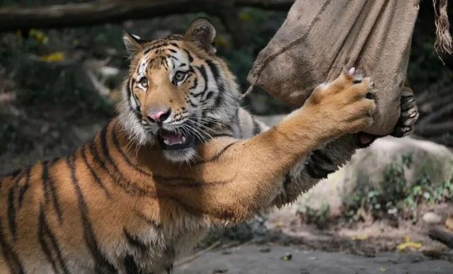 上新啦！魔都这些地方又有新玩法