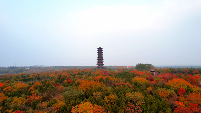 以美酒敬美景，用旅行致生活！