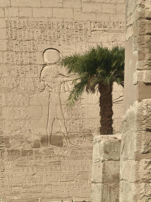 晚潮｜哈布城的鸽子