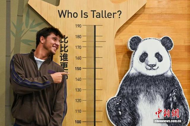 中外网球运动员爱上成都安逸慢生活