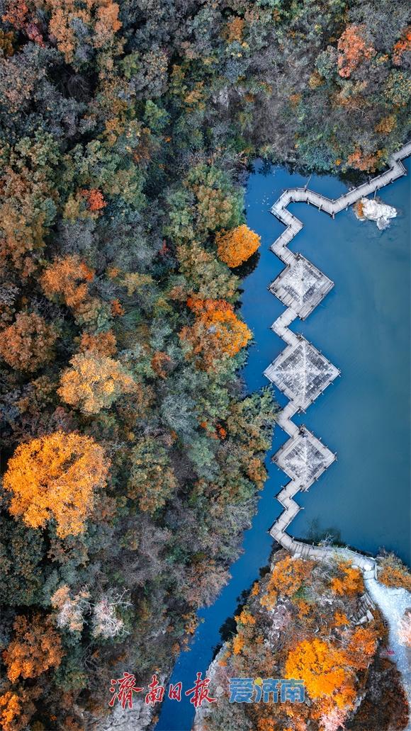 一年四季 泉在济南丨济南九如山：秋日斑斓如诗画，手工体验让秋天 “触手可得”