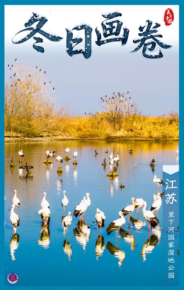 海报丨冬日画卷