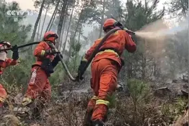 焦点访谈丨严防小火酿大祸！清明前后怎么严防森林火灾？图片