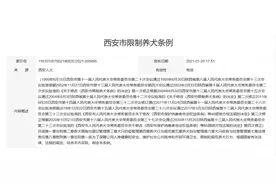 多地“解禁”中华田园犬，但仍有不少地方在管控 科学管理是大趋势图片