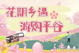 第二十七届北京平谷国际桃花节浪漫启幕，带你“桃”离喧嚣图片