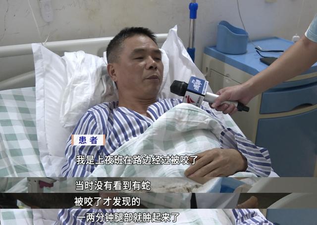 8岁男童昏迷9小时险丧命！医生靠脚踝俩小红点揪出“元凶”