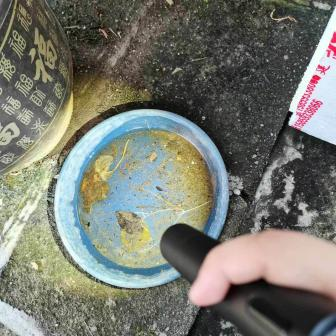 旅业场所如何防蚊灭蚊？指南来了→