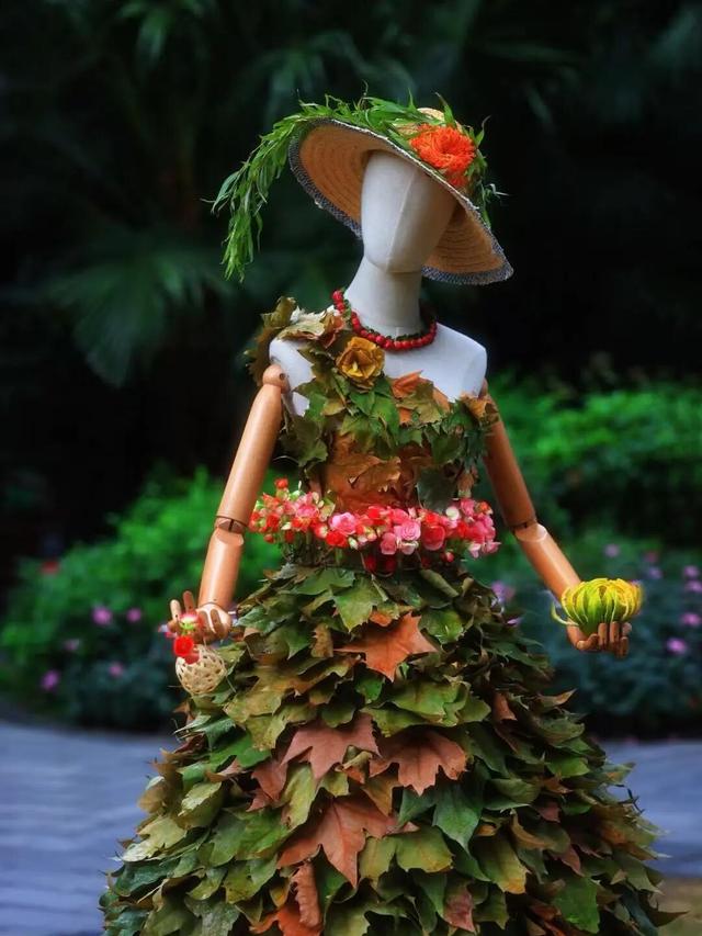 免费观赏！美到犯规