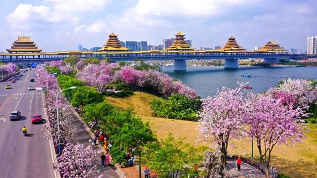 藏不住了！今天要开心，日子“基础”，柳州就“不基础”！