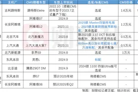 马斯克力推的电子后视镜“糊”了？成本高、需求低 业内：无法长期炒作|行业观察图片