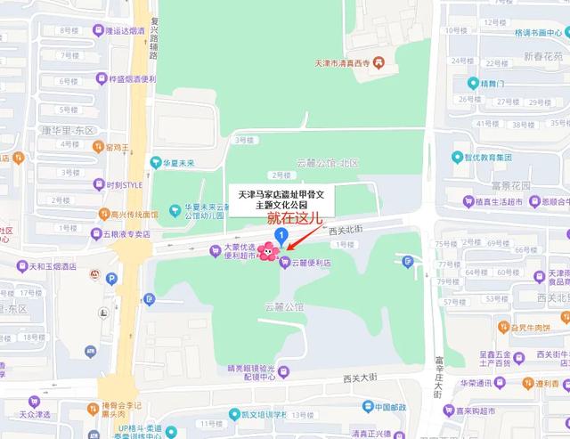 红桥人遛腿儿都来这→