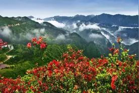 上春山赏杜鹃，第十五届湖南·阳明山“和”文化旅游节即将启幕图片